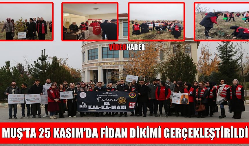 Muş’ta fidanlar ‘Şiddetsiz Bir Dünya’ için toprakla buluştu