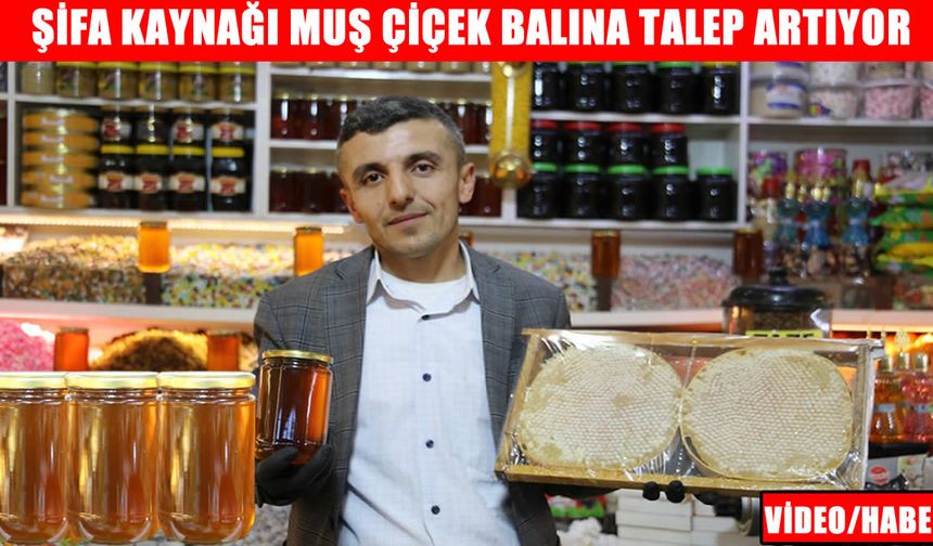 Muş’ta üretilen şifa kaynağı 'çiçek balı'na yoğun talep