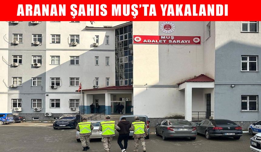 7 yıl hapis cezasıyla aranan şahıs Muş’ta yakalandı