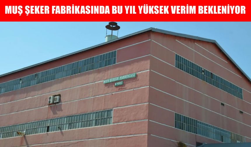 Muş’ta şeker pancarı alım kampanyasında hedef 340 bin ton pancar