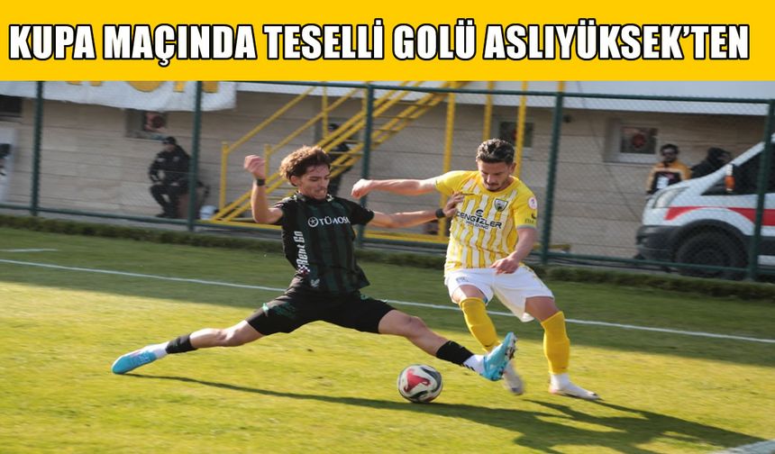 Muşspor'da teselli golü Ersel Aslıyüksek’ten