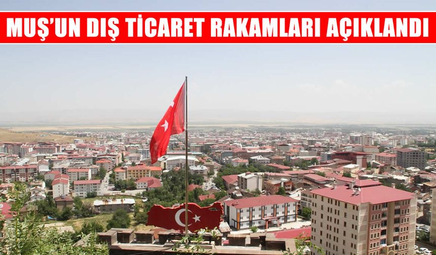 Muş’un dış ticaret rakamları açıklandı: İhracat ve ithalatta dikkat çeken yükseliş