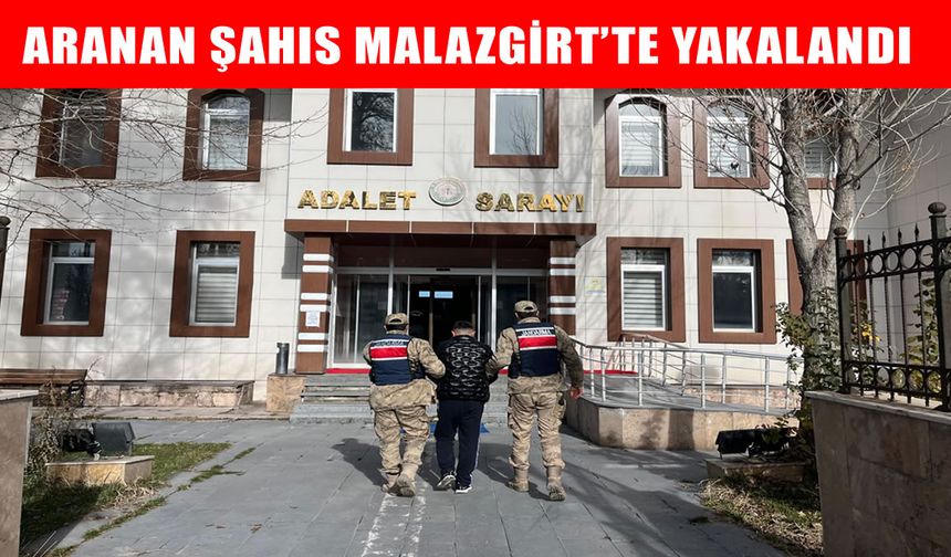 Muş'ta aranan şahıs jandarma operasyonuyla yakalandı