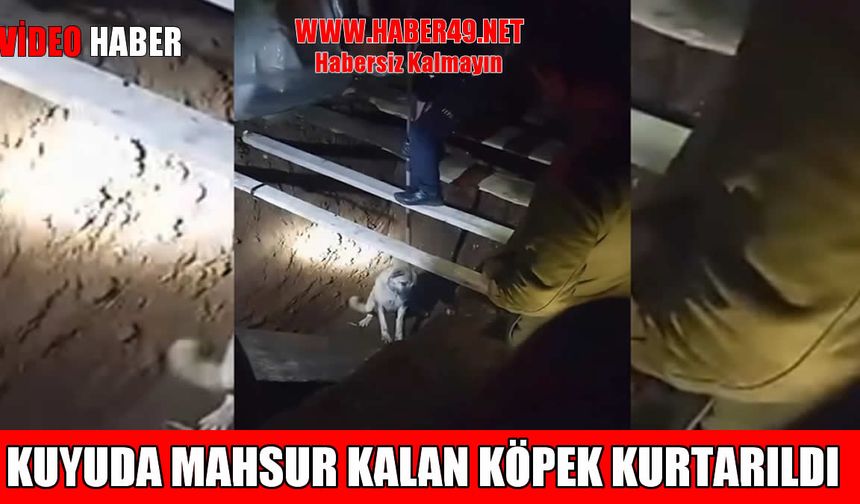 Muş’ta kanalizasyon kuyusuna düşen köpeği itfaiye ekipleri kurtardı
