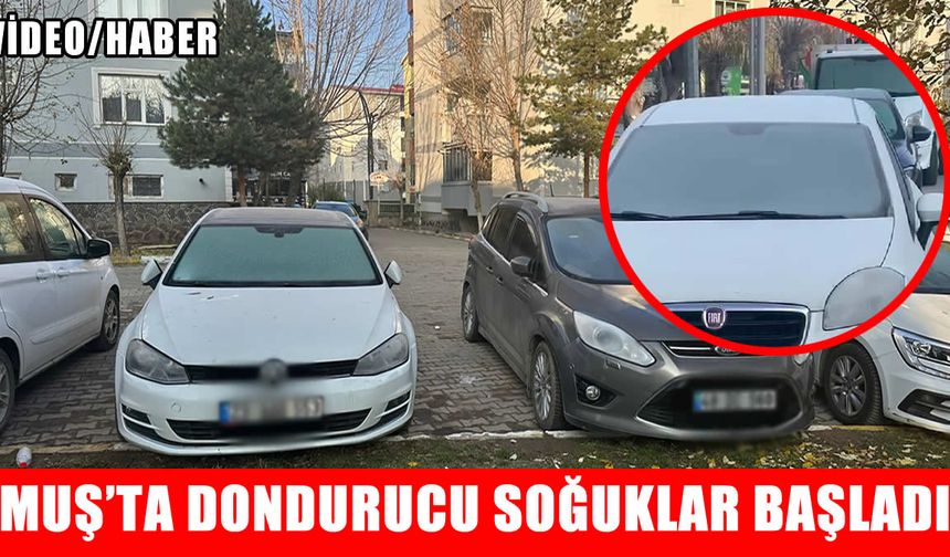 Muş'ta dondurucu soğuklar başladı: Araç camları buz tuttu