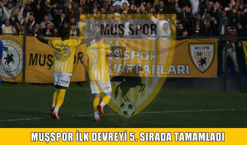 Muşspor ilk devreyi play-off potasında tamamladı