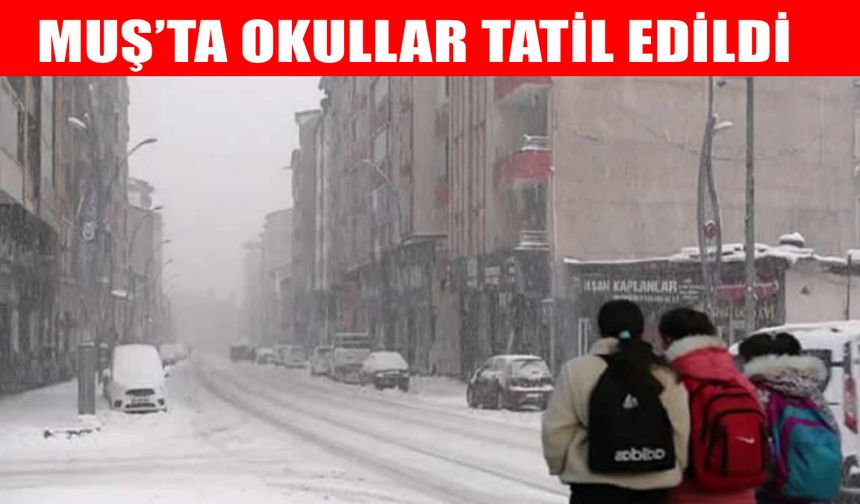 Muş'ta eğitime kar engeli: Valilikten tatil açıklaması