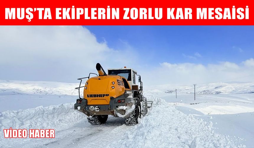 Muş’ta kar esareti: Açılan köy yolları tekrar kapandı, iki ilçeyle bağlantı kesildi