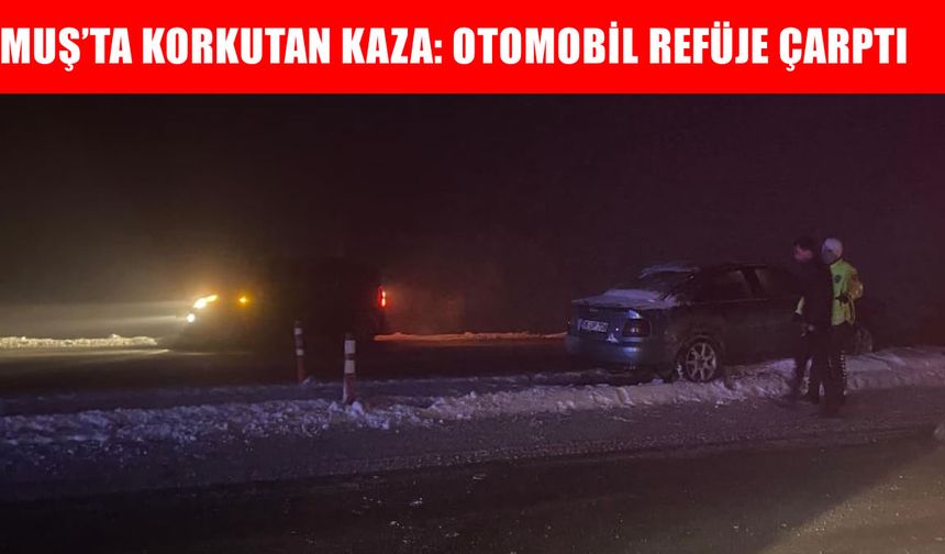 Muş’ta yoğun sis ve buzlanma kazaya neden oldu