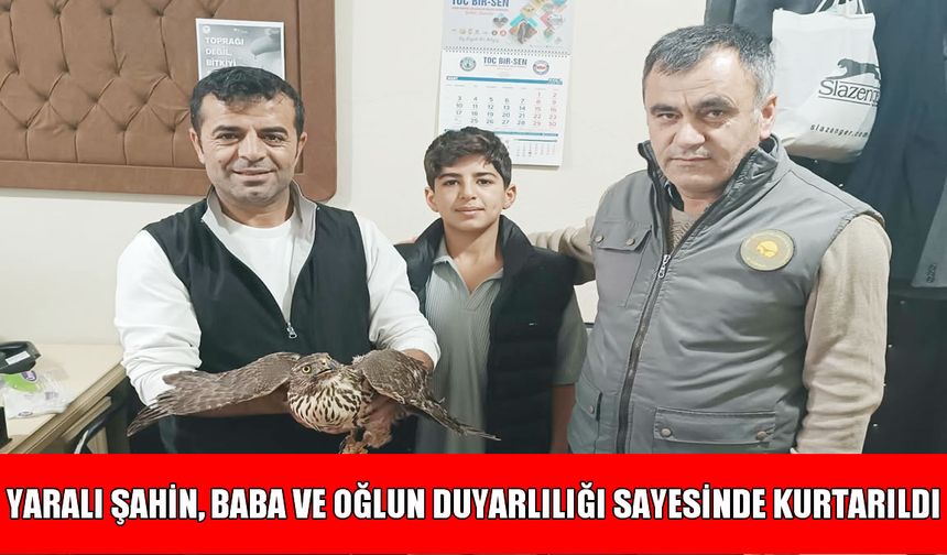 Muş’ta duyarlı baba ve oğul, buldukları yaralı şahini yetkililere teslim etti