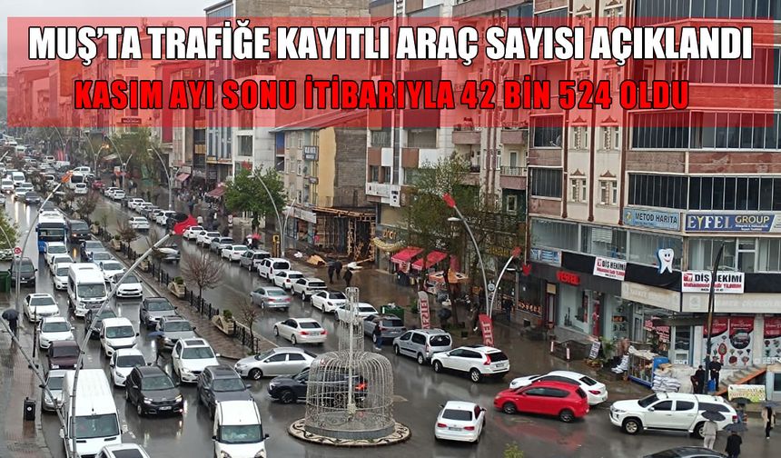 Muş trafiğindeki araç sayısı açıklandı: Hangi araçtan ne kadar var?