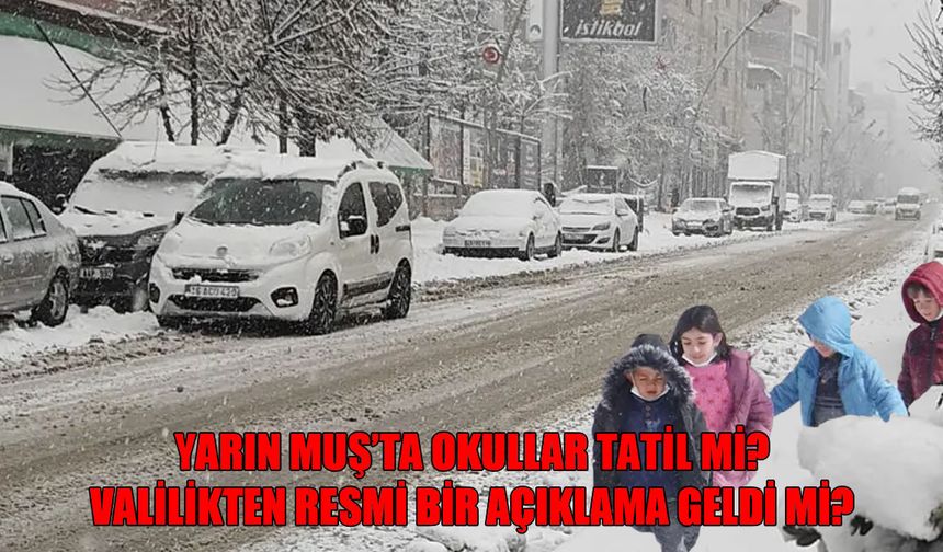 Muş'ta yarın okullar tatil mi?