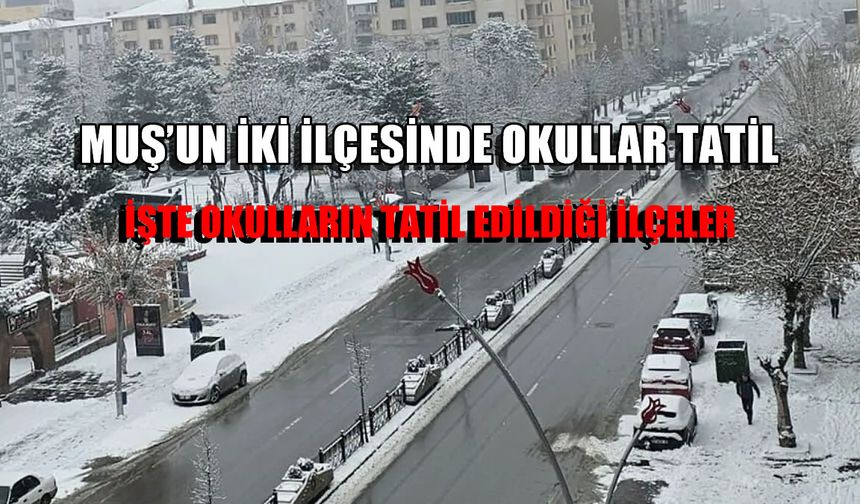 Muş’un iki ilçesinde kar engeli: Taşımalı eğitime ara verildi
