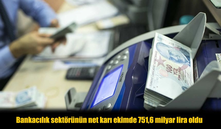 Türk Bankacılık Sektörü Ekim’de 751,6 Milyar Lira Kar Elde Etti