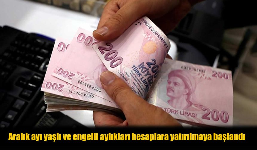 Aralık Ayı Sosyal Yardım Ödemeleri Başladı: Kimler Ne Kadar Alacak?