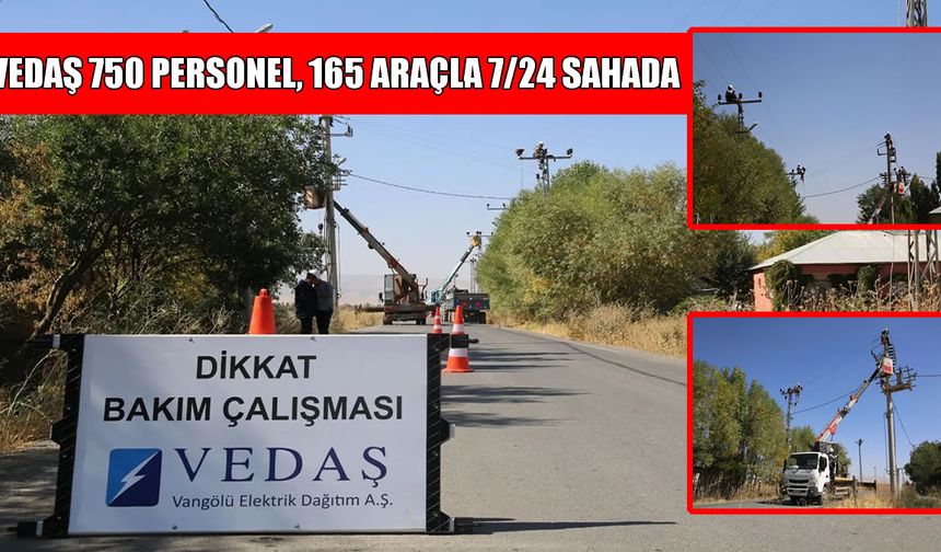 Muş kışa hazır: VEDAŞ, bakım ve yenileme çalışmalarını tamamladı