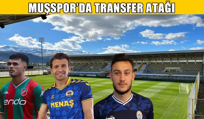 Muşspor transferde atağa kalkıyor