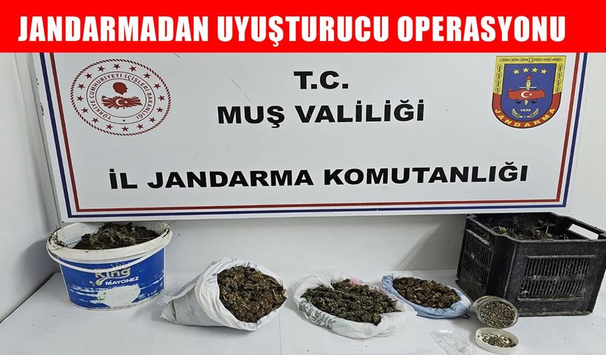 Muş’ta uyuşturucu operasyonu: 1 gözaltı