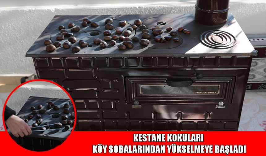 Muş köylerinde soba kestaneleri geleneği başladı