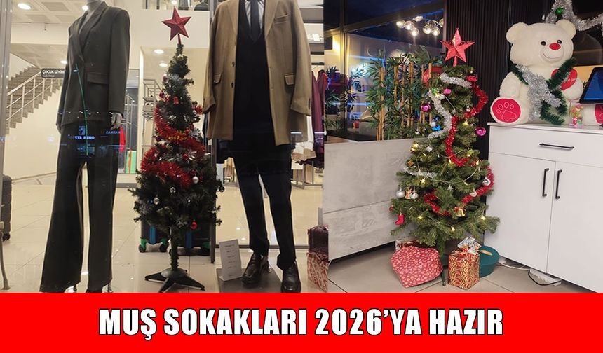 Muş’ta 2026 hazırlıkları başladı: Sokaklar yeni yıl temasıyla süslendi