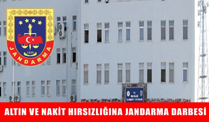 Muş’ta gözaltına alınan hırsızlık şüphelisi serbest bırakıldı