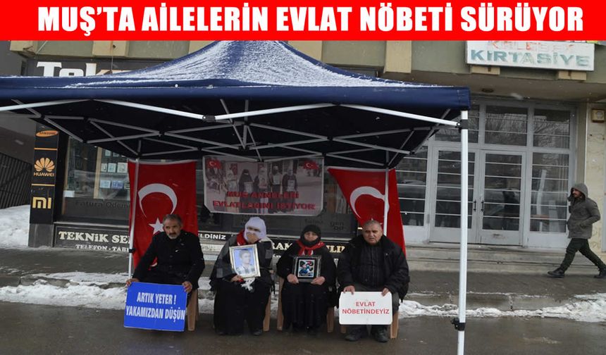 Muş’ta DEM Parti önündeki nöbet sürüyor: “Tek derdimiz evlatlarımız"