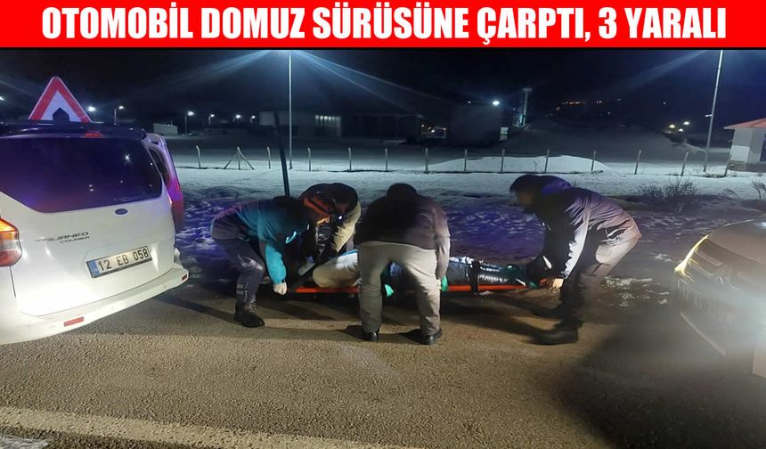 Muş-Bingöl yolunda feci kaza