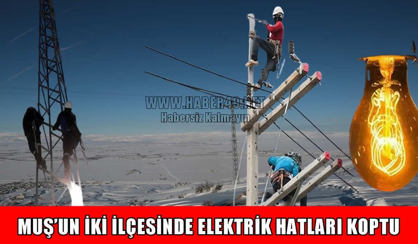 Muş'u fırtına vurdu: 7 köy ve 9 mezra elektriksiz kaldı