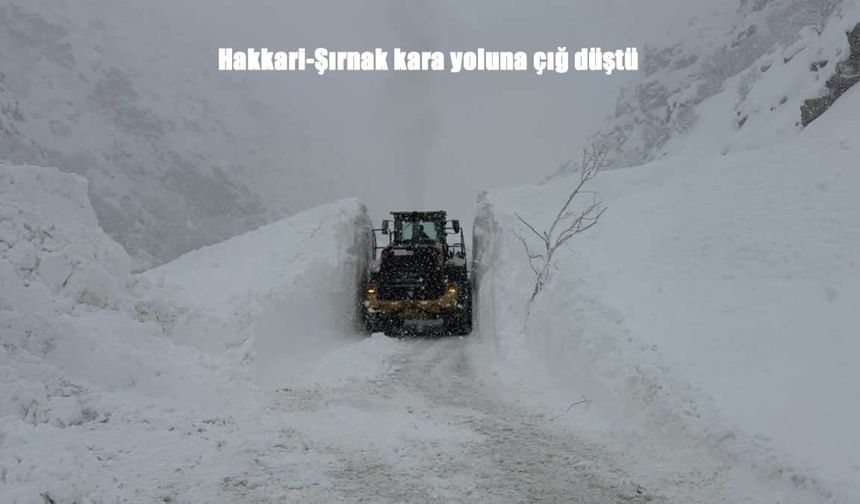 Hakkari-Şırnak yolu çığ nedeniyle kapatıldı