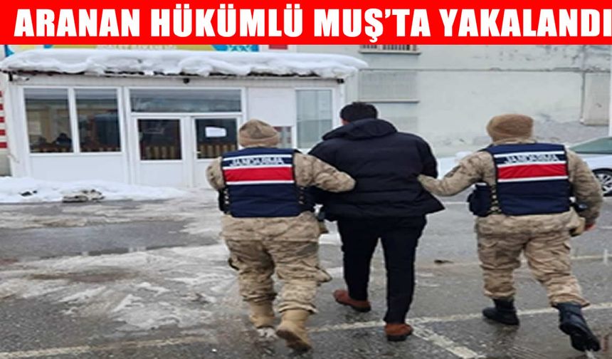 Muş’ta kesinleşmiş hapis cezası bulunan şahıs yakalandı