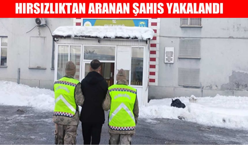 Muş’ta hırsızlıktan aranan şahıs yakalandı