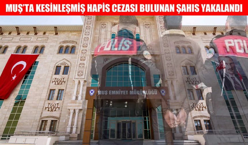 Muş'ta iki ayrı suçtan 9 yıl hapis cezasıyla aranan şahıs yakalandı