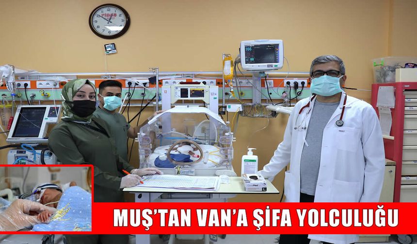 Muş’un umudu Van’da çiçek açtı