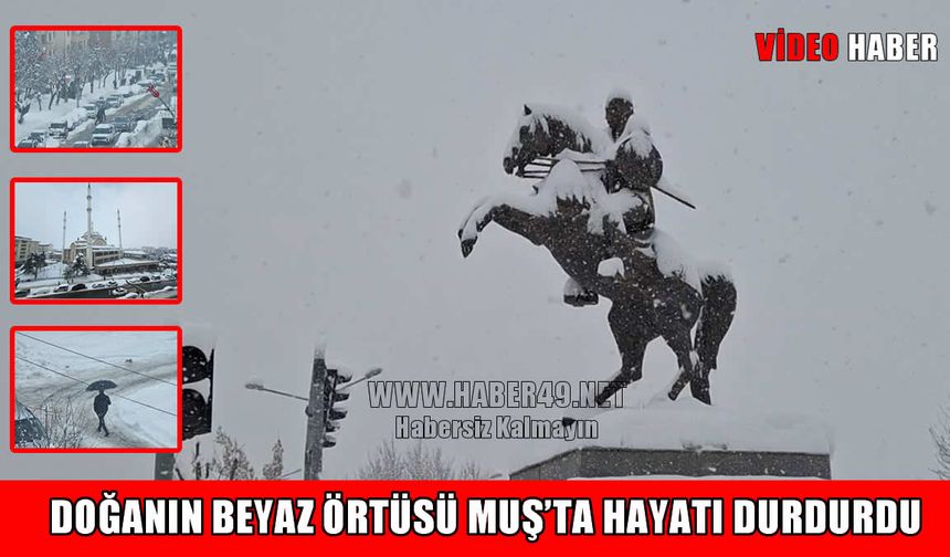 Muş kara teslim: Yaşam durma noktasına geldi