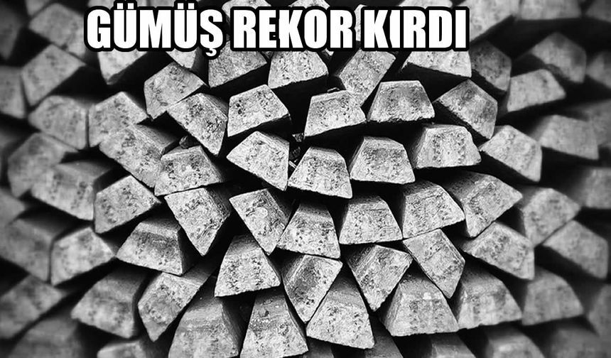 Gümüş Rekor Kırdı: Ons Fiyatı 103 Doları Aştı