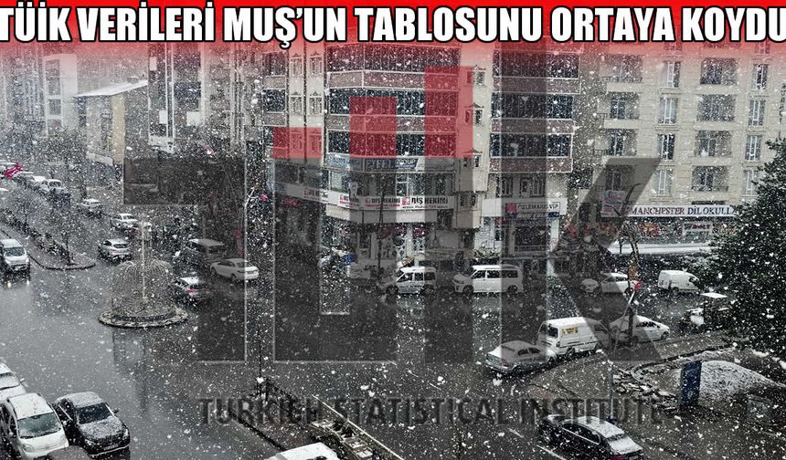 TÜİK açıkladı: Muş’ta nüfus geriliyor, göç artıyor