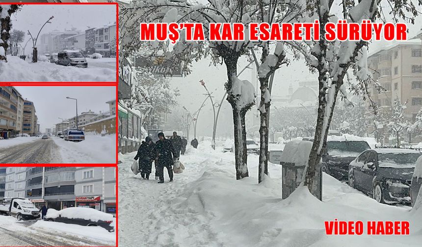 Muş’ta kar esareti: 344 köy yolu kapandı, ulaşım felç oldu