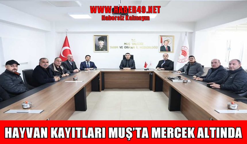 Muş’ta hayvan kayıt sistemi için ortak buluşma