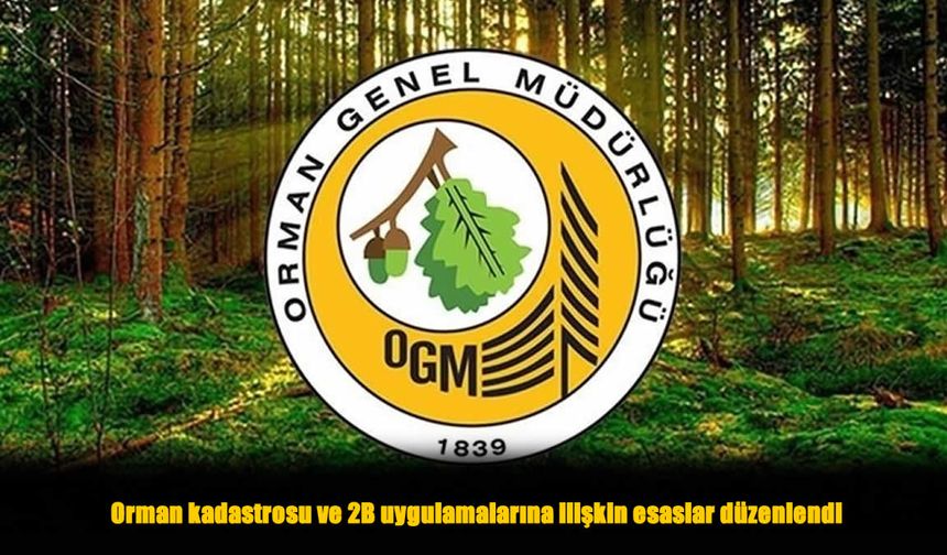 Orman Sınırları Nasıl Belirlenecek? Yeni Yönetmelik Açıklandı