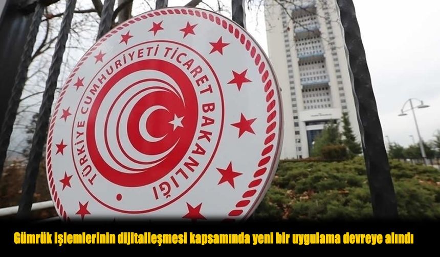 Gümrük İşlemlerinde Dijital Devrim: “Pin Kodu” ile Güvenli Erişim Dönemi Başladı