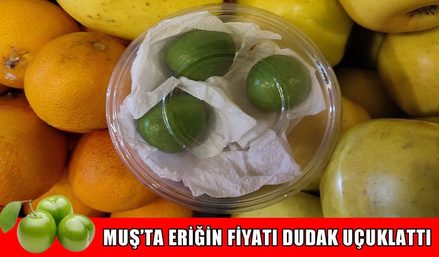 Muş’ta eriğin fiyatı dudak uçuklattı: Kilo değil tane ile satılıyor