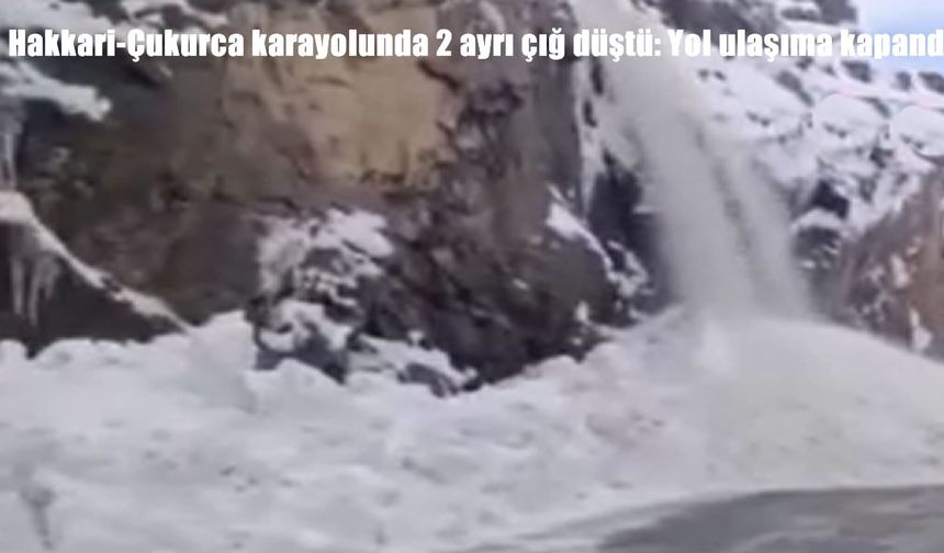 Hakkari-Çukurca karayolunda 2 ayrı çığ düştü: Yol ulaşıma kapandı