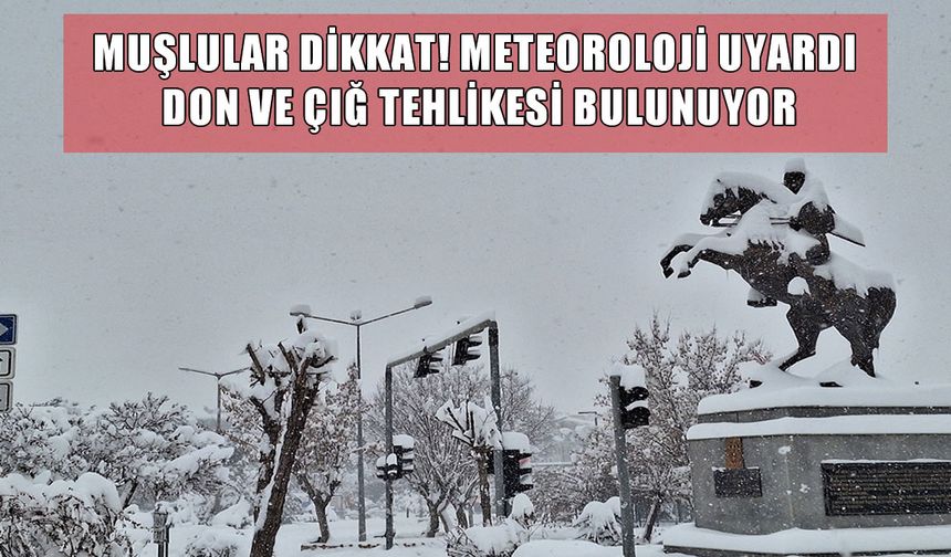 Muşlular dikkat! Meteoroloji'den don ve çığ uyarısı
