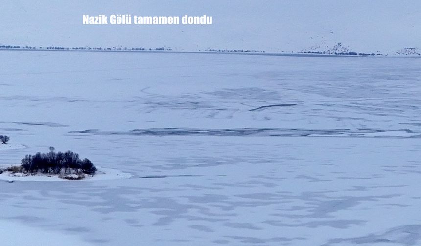 Bitlis Nazik Gölü tamamen dondu