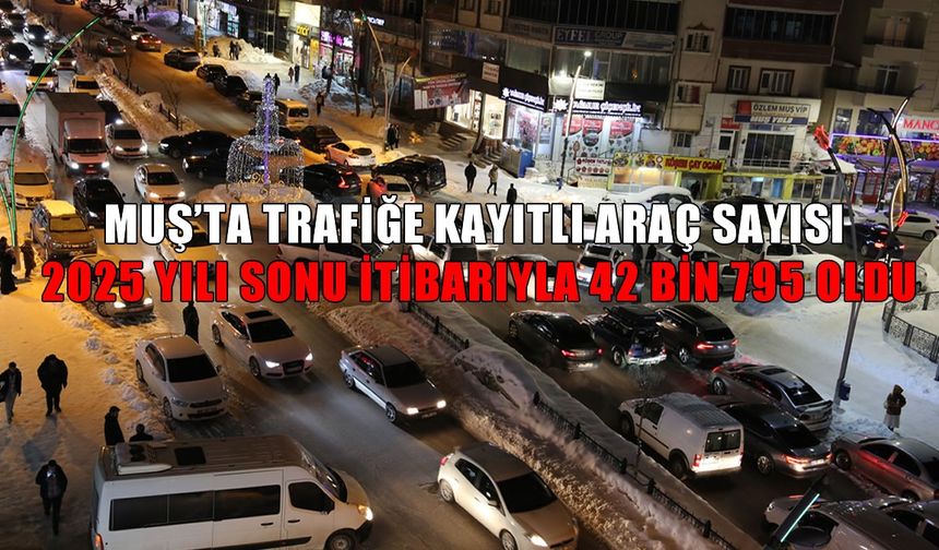 Muş’ta trafiğe kayıtlı araç sayısı 43 bine ulaştı