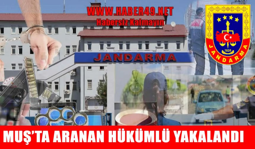 Muş’ta hırsızlıktan aranan hükümlü jandarma tarafından yakalandı