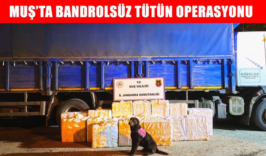 Muş’ta kaçak tütün operasyonu: 320 kilo ürün ele geçirildi