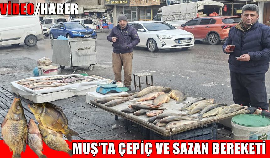 Muş’ta çepiç ve pullu sazan bereketi: Balık çeşitleri yoğun talep görüyor