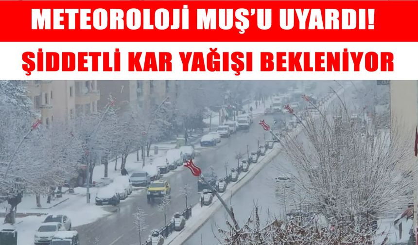 Meteoroloji Muş için gün vererek uyardı: Kuvvetli kar yağışı geliyor