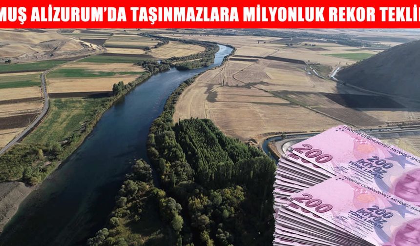 Muş’ta özelleştirme ihalesi: Alizurum köyündeki taşınmazlara rekor teklif